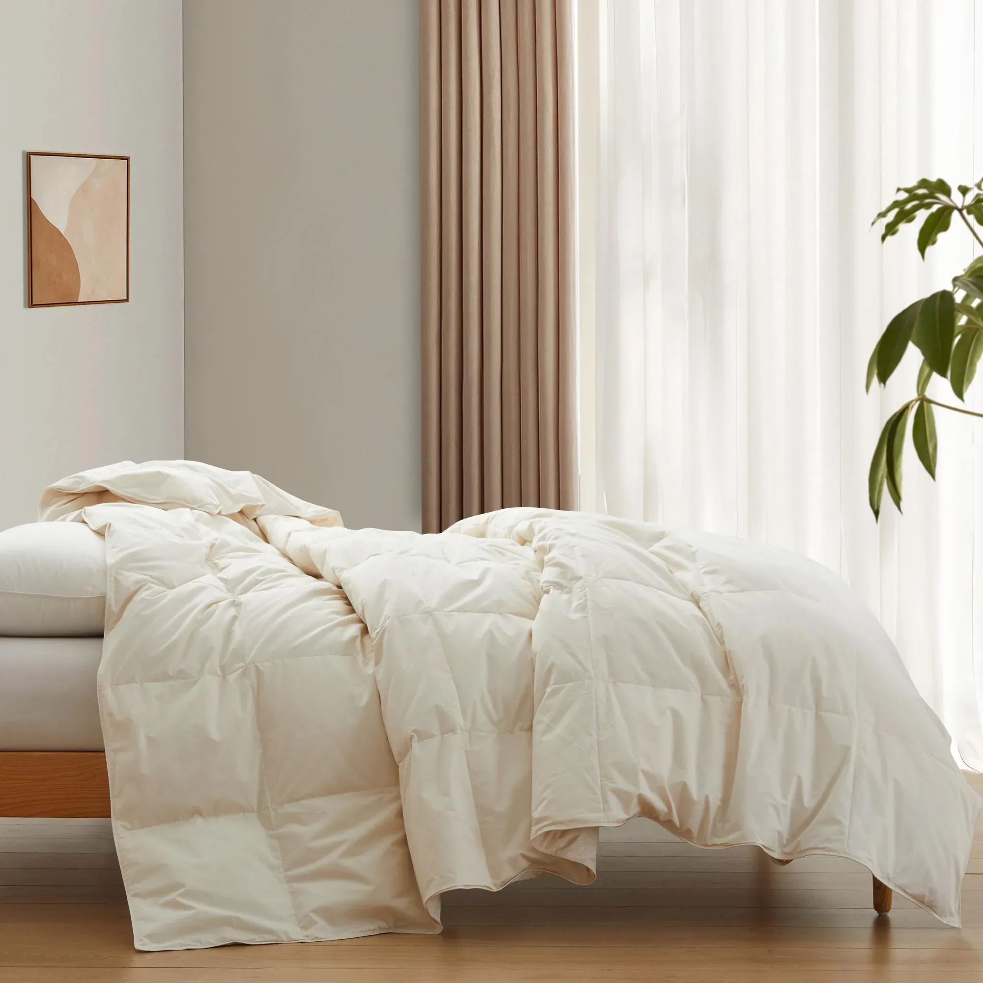 Lightweight Organic Cotton Feather Down Comforter