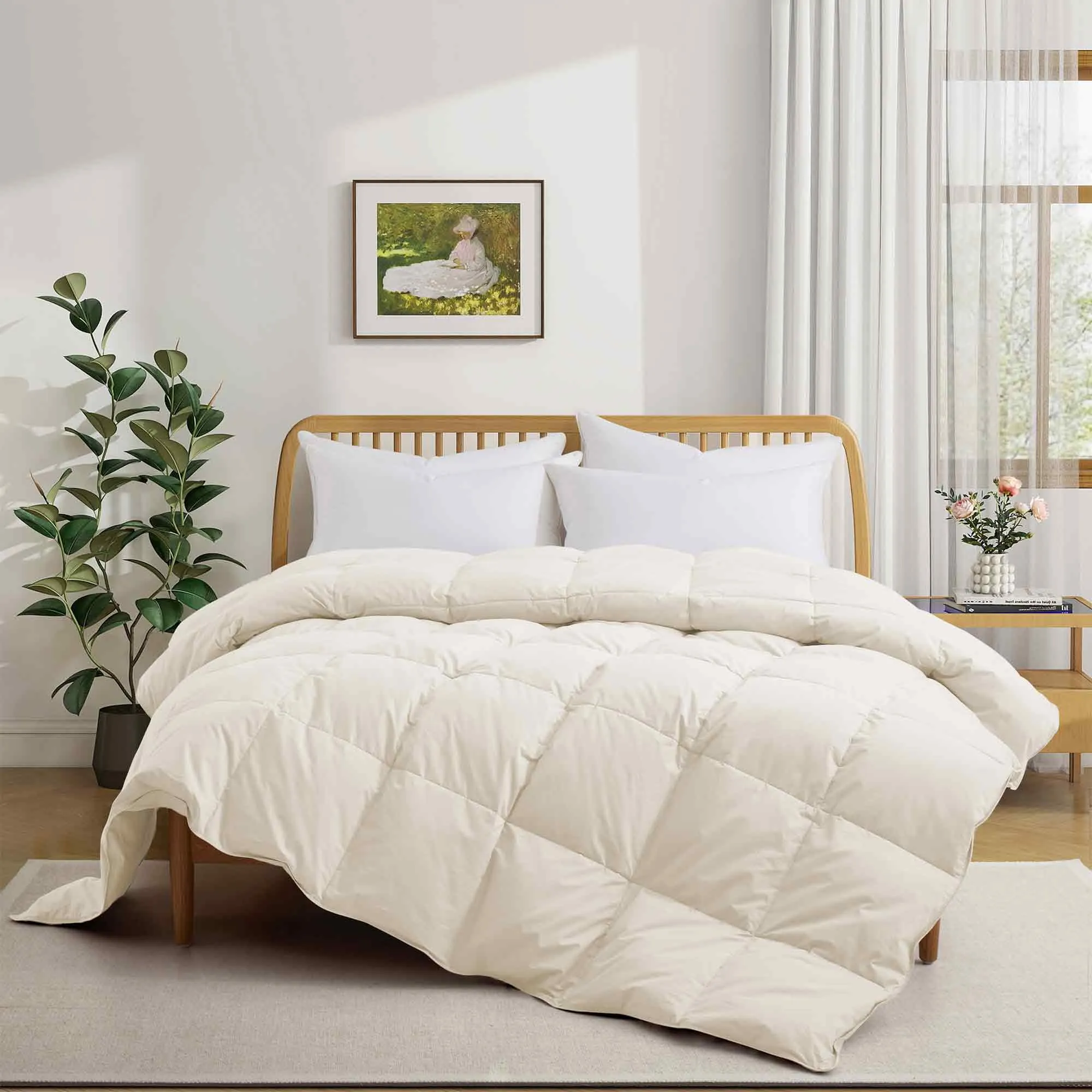 Lightweight Organic Cotton Feather Down Comforter