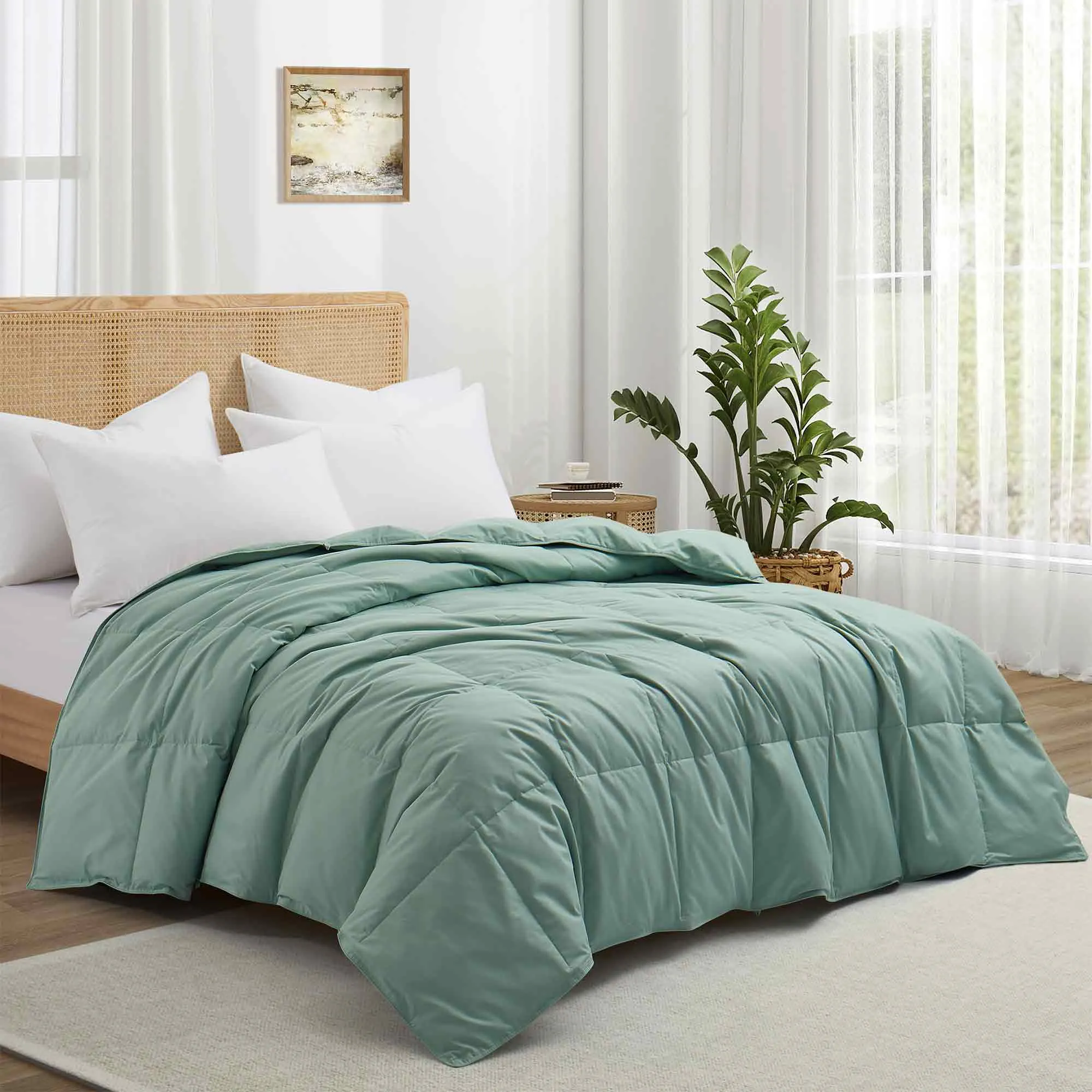 Lightweight Organic Cotton Feather Down Comforter