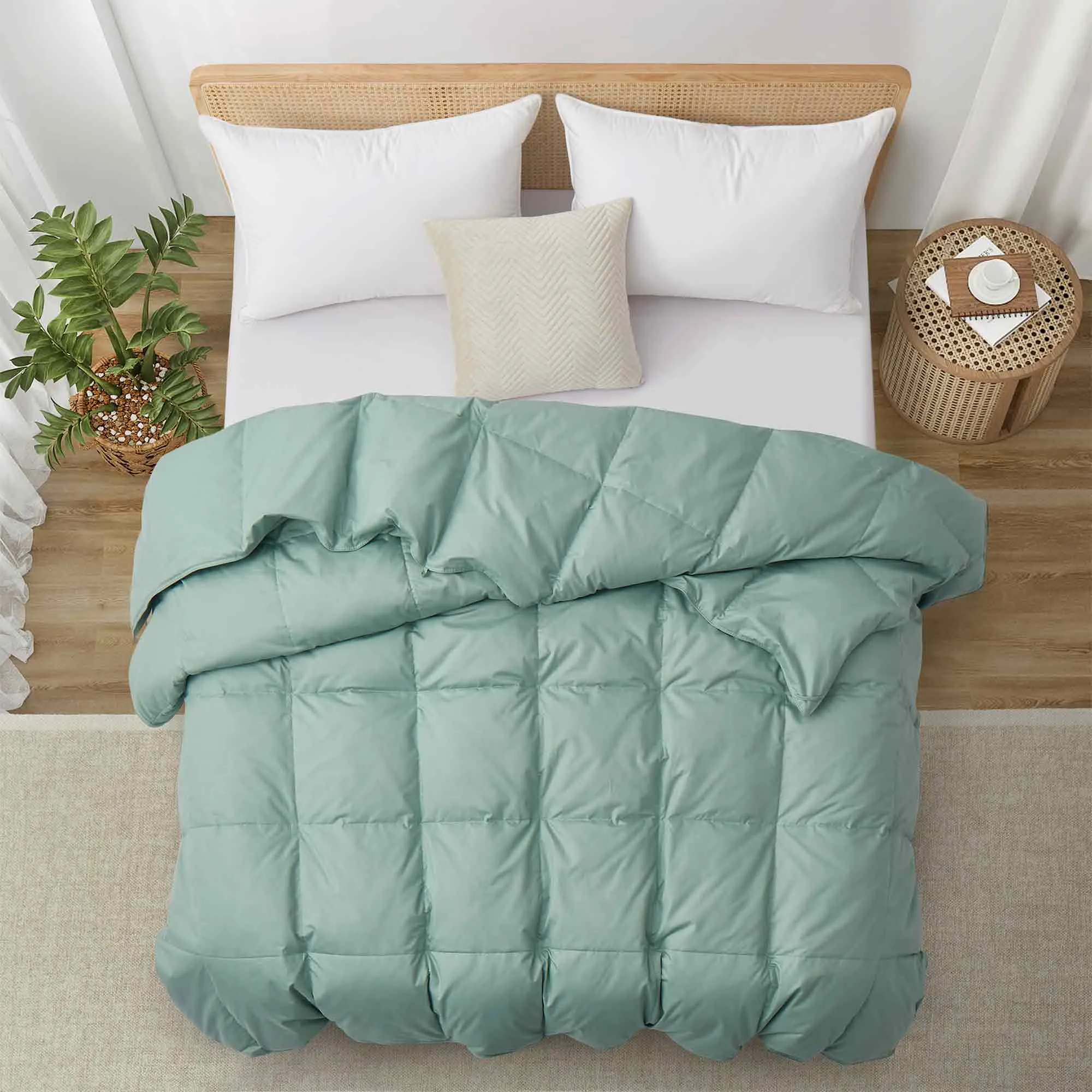 Lightweight Organic Cotton Feather Down Comforter