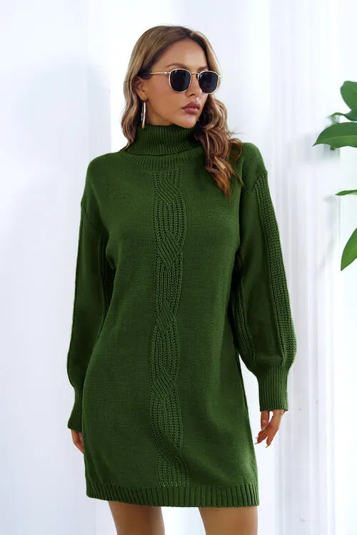 Nelly in New York Turtleneck Braided Sweater Dress | 3 Colors