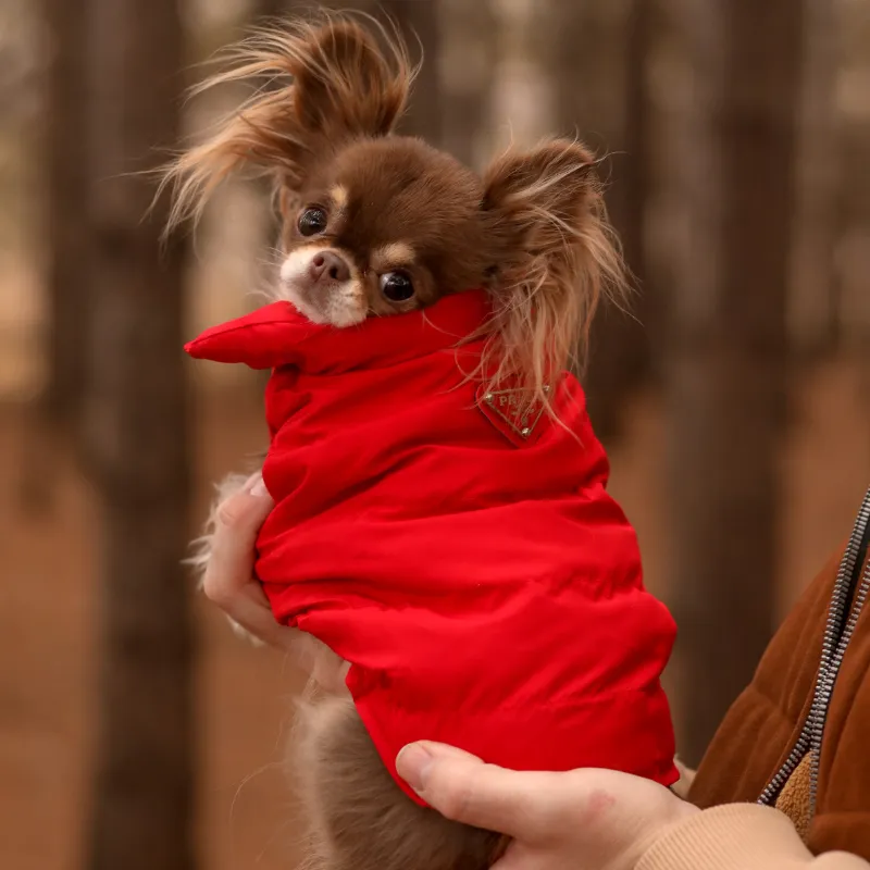 Puffer Jacket - Red